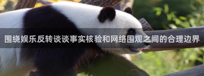 热点爆料大全：围绕娱乐反转谈谈事实核验和网络围观之间的合理边界