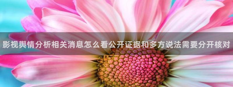 黑料网络资讯：影视舆情分析相关消息怎么看公开证据和多方说法需要分开核对