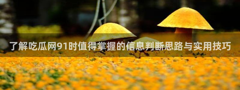 黑料网络话题:了解吃瓜网91时值得掌握的信息判断思路与实用技巧