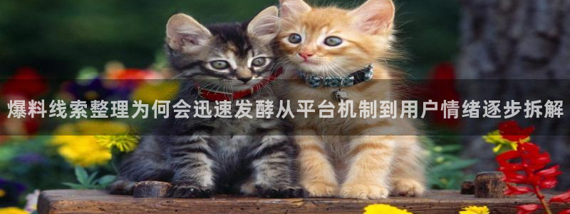 热门事件榜:爆料线索整理为何会迅速发酵从平台机制到用户情绪逐步拆解